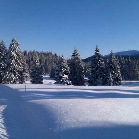 Chalet Daria Prémanon Buitenkant foto
