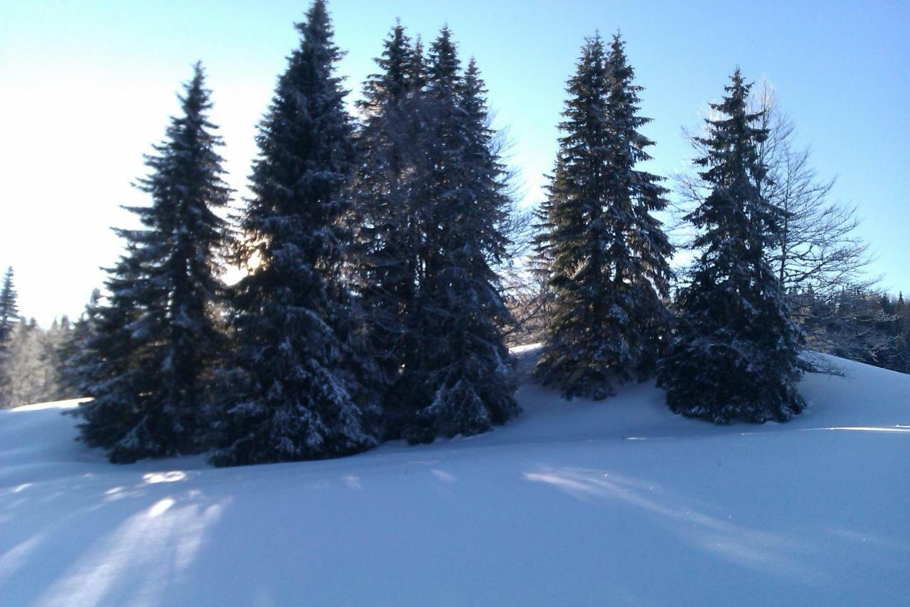 Chalet Daria Prémanon Buitenkant foto