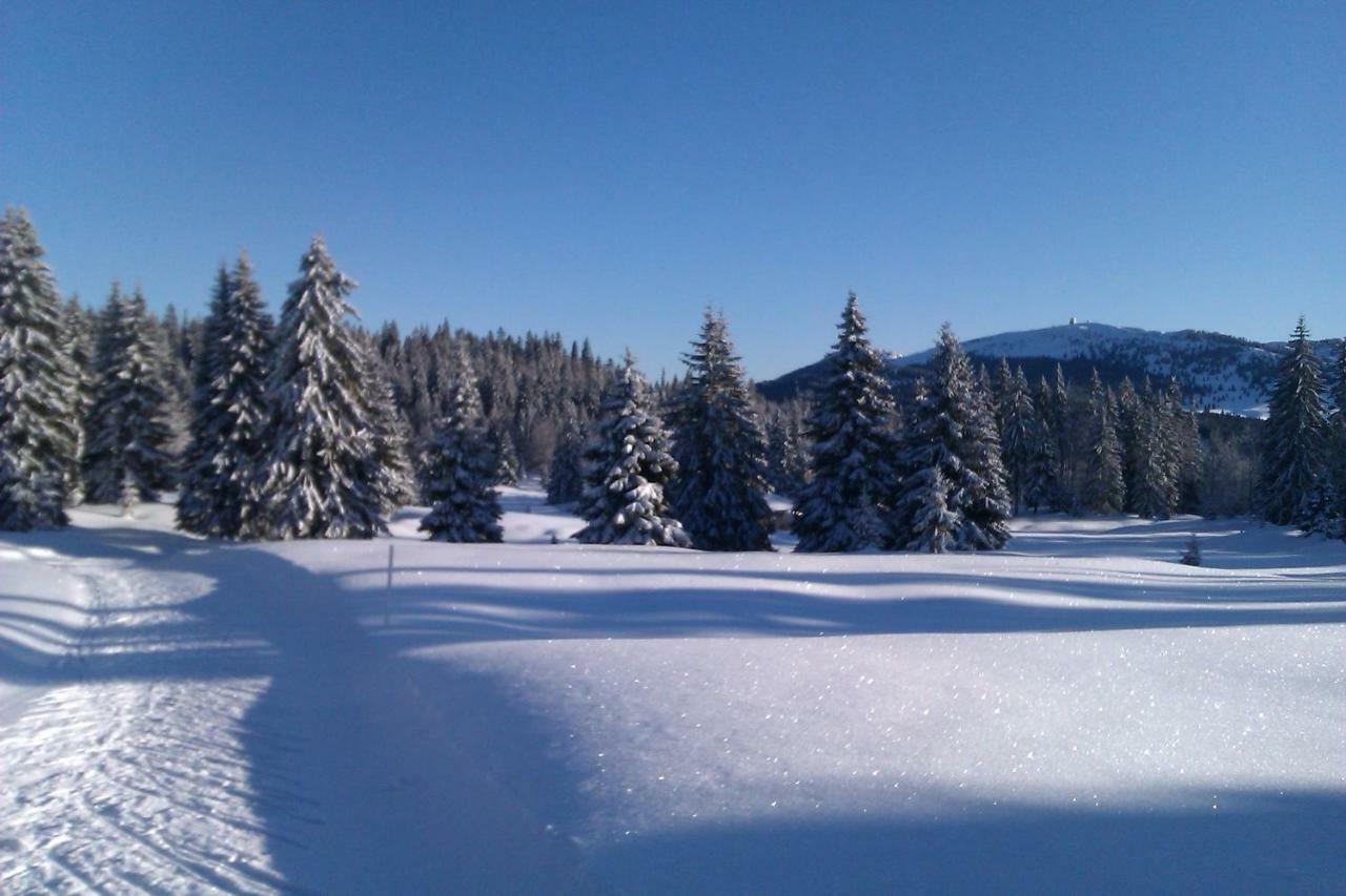 Chalet Daria Prémanon Buitenkant foto
