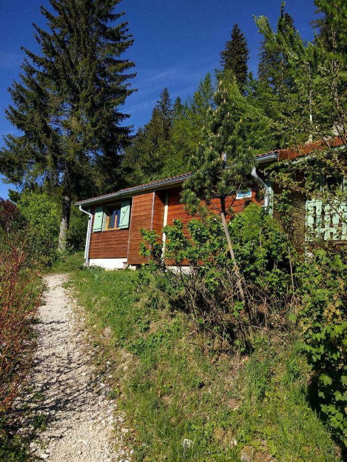 Chalet Daria Prémanon Buitenkant foto