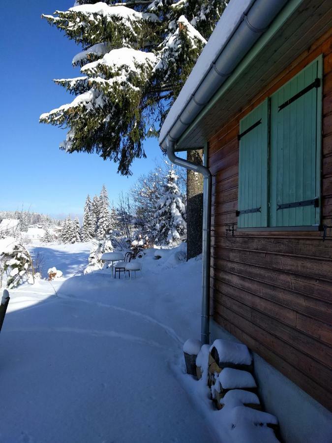 Chalet Daria Prémanon Buitenkant foto