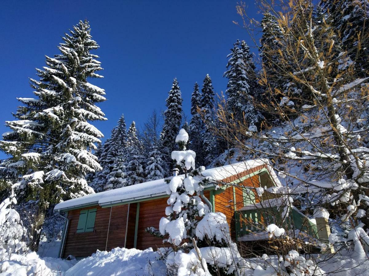 Chalet Daria Prémanon Buitenkant foto